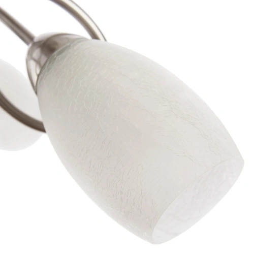 Потолочная люстра Arte Lamp MUTTI A8616PL-3SS фото 3 Потолочная люстра Arte Lamp MUTTI A8616PL-3SS фото 3