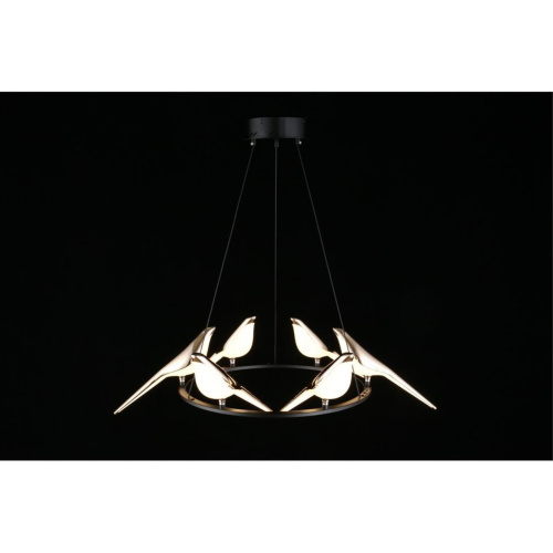 Люстра подвесная APL.822.03.60 фото 12 Люстра подвесная APL.822.03.60 фото 12