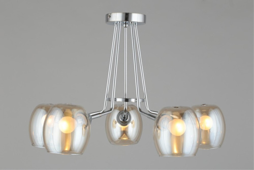 Люстра потолочная OML-27307-05 фото 6