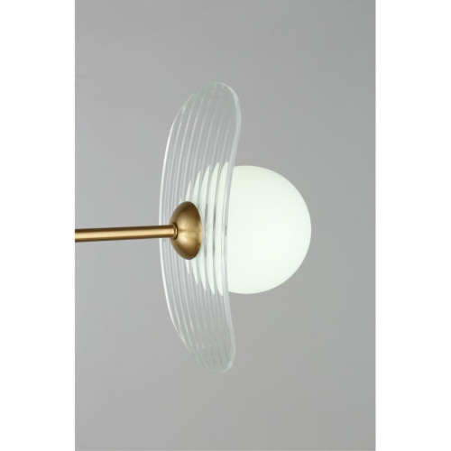 Люстра потолочная OML-51117-06 фото 9