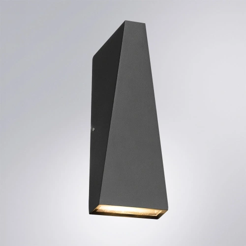 Фасадный светильник Arte Lamp COMETA A1524AL-2BK фото 5
