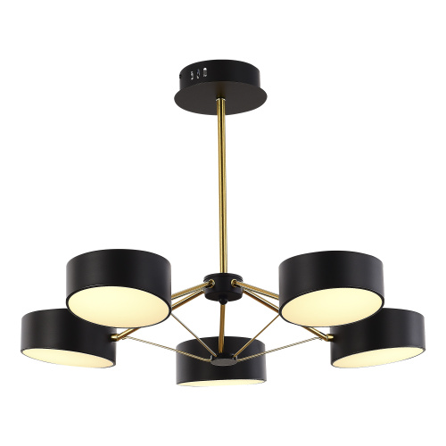 SLE6005-402-05 Светильник потолочный Черный, Золотистый/Черный LED 5*10W VALLE фото 4