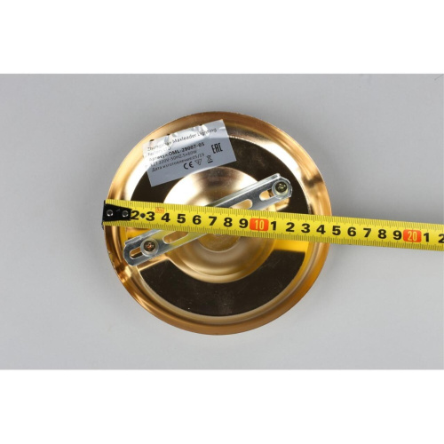 Люстра потолочная OML-29007-05 фото 7 Люстра потолочная OML-29007-05 фото 7