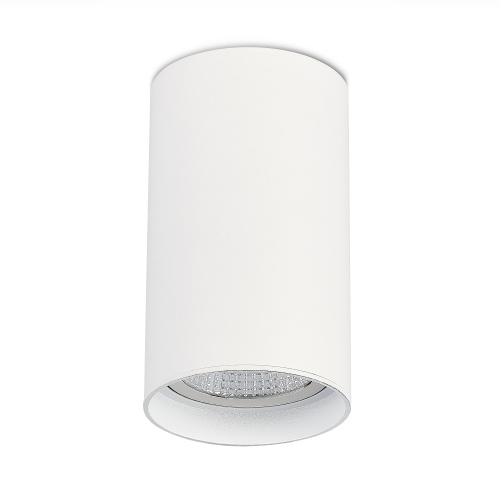 ST157.542.20 Светильник потолочный Белый LED 1*20W 4000K 1 600Lm Ra>90 60° IP44 D95xH150 220-265V Накладные светильники фото 2