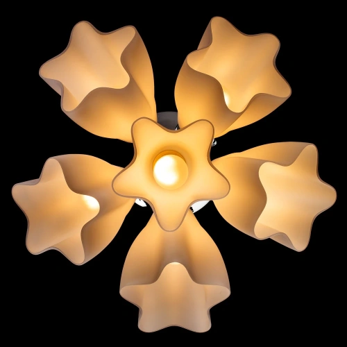 Потолочная люстра Arte Lamp CANZONE A3469PL-6CC фото 4