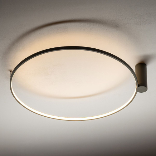 Настенно-потолочный светильник Nowodvorski Circolo Led M Silk Oliv E 11402 фото 4