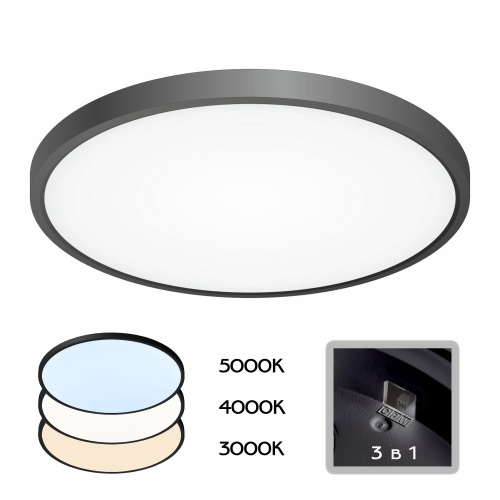 Citilux Бейсик CL738321V Светильник накладной Чёрный Citilux Бейсик CL738321V Светильник накладной Чёрный