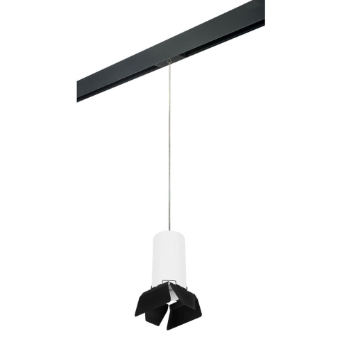 Комплект с трековым светильником Lightstar Rullo (216486+595887+202487) PRORP6486487