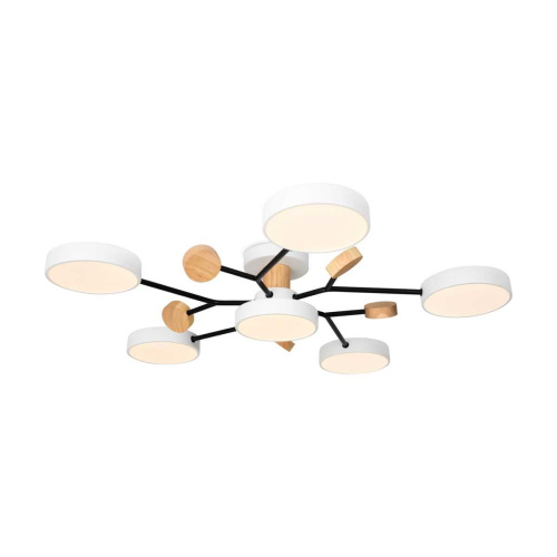 Потолочный светильник Freya Корона / Crown FR6119CL-L72W Потолочный светильник Freya Корона / Crown FR6119CL-L72W