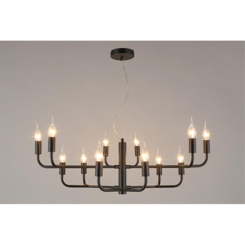 Люстра подвесная APL.338.13.12 фото 3 Люстра подвесная APL.338.13.12 фото 3