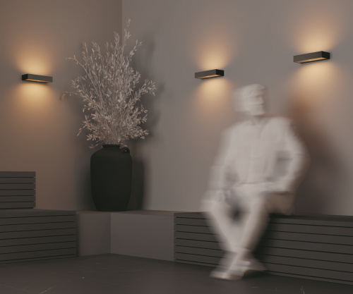 Уличный настенный светильник Outdoor O428WL-L20GF3K фото 9