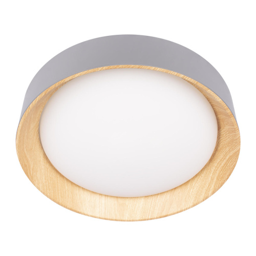 10202 Grey Потолочный светильник LOFT IT Coin фото 2