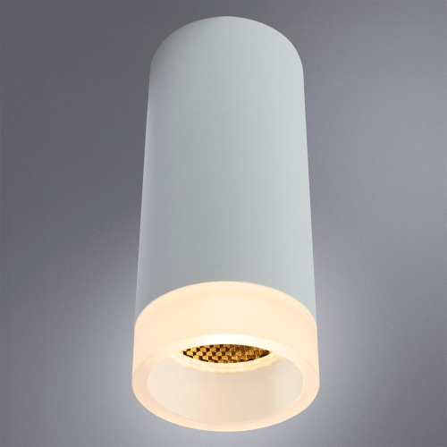 Потолочный светильник Arte Lamp Ogma A5556PL-1WH фото 2
