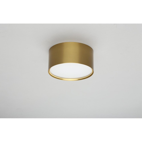 Светильник встраиваемый-накладной OML-103329-12 фото 4