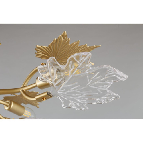 Люстра потолочная OML-52707-09 фото 4