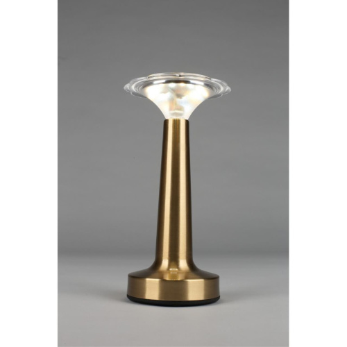 Настольная лампа OML-40204-01 фото 8