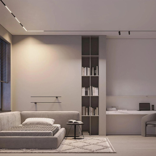 Трековый светодиодный светильник Arlight Mag-Orient-Spot-R45-9W Warm3000 048661 фото 5 Трековый светодиодный светильник Arlight Mag-Orient-Spot-R45-9W Warm3000 048661 фото 5