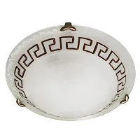Потолочный светильник Arte Lamp ANTICA A3630AP-1AB