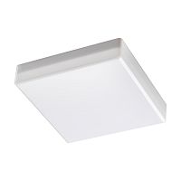 358687 OVER NT21 591 белый Светильник накладной влагозащищенный IP54 LED 4000K 15W 100-240V PANDORA