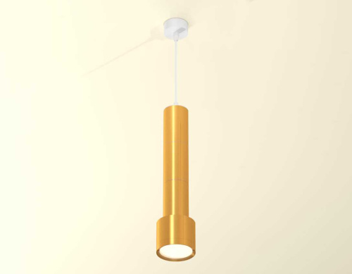 Комплект подвесного светильника Ambrella light Techno Spot XP (A2301, C6327х3, A2062х2, A2101, C8121, N8124) XP8121001 фото 2