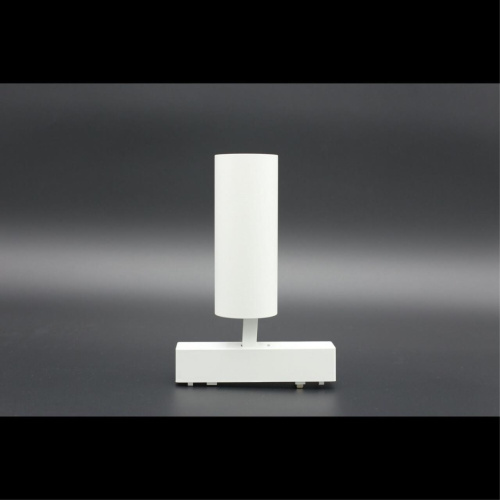 Светильник трековый APL.0113.10.09 фото 9