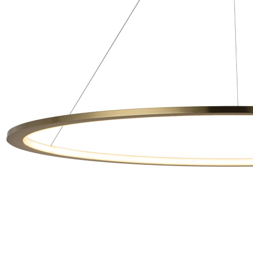 10014XXL Подвесной светильник LOFT IT Ring фото 6 10014XXL Подвесной светильник LOFT IT Ring фото 6