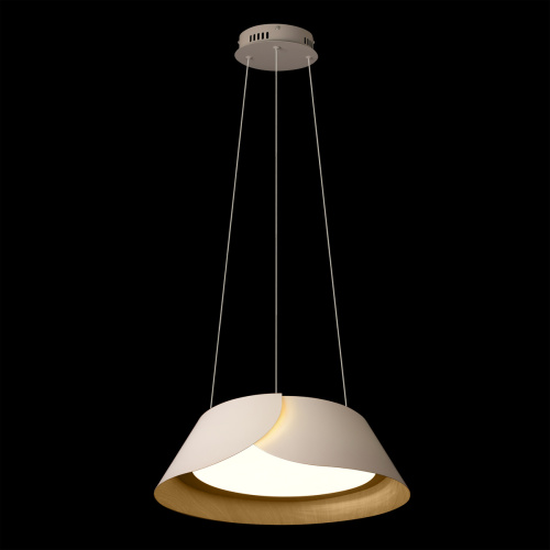 10370P White Подвесной светильник LOFT IT Lane фото 3