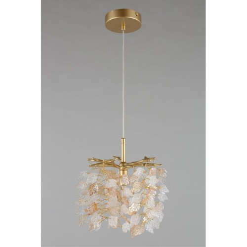 Светильник подвесной OML-52806-01 фото 5 Светильник подвесной OML-52806-01 фото 5