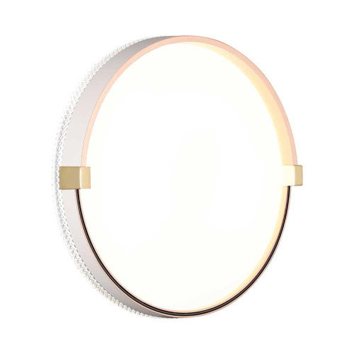 Настенно-потолочный светодиодный светильник Sonex Pale Olidi White 7646/CL фото 4