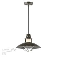 4164/1 NATURE ODL19 705 коричневый/прозрачный Подвес IP23 E27 1*60W DANTE