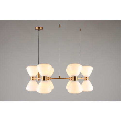 Люстра подвесная OML-59603-12 фото 4