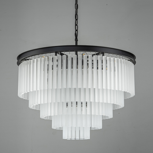 Люстра Odeon 10A black/frost фото 5