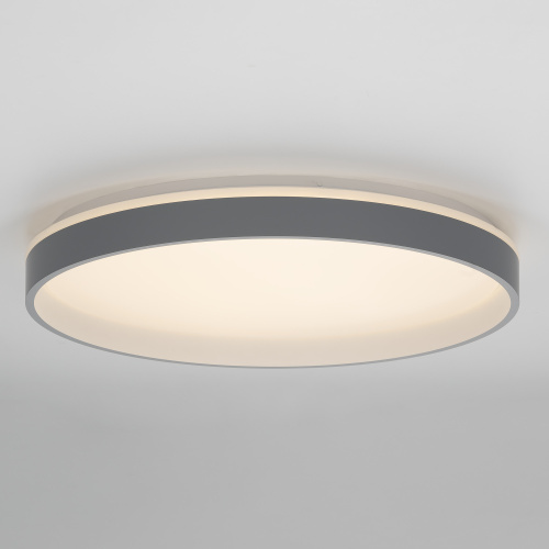 Citilux ENZO CL753513G LED RGB Светильник с пультом Серый + Белый фото 2 Citilux ENZO CL753513G LED RGB Светильник с пультом Серый + Белый фото 2