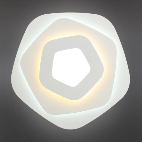 Светильник настенный (Бра) OML-07701-30 фото 3