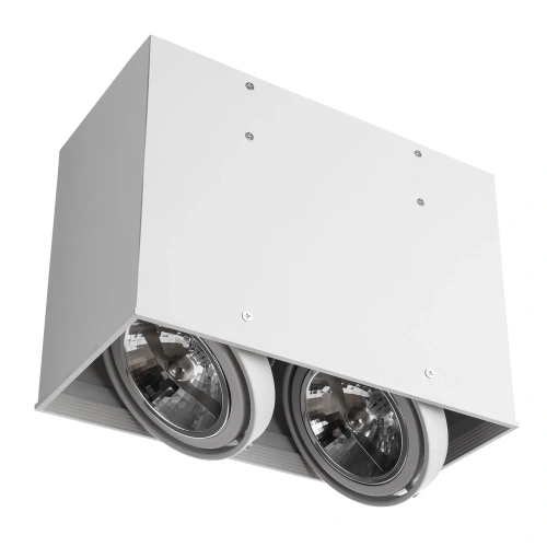 Точечный накладной светильник Arte Lamp CARDANI GRANDE A5936PL-2WH фото 3 Точечный накладной светильник Arte Lamp CARDANI GRANDE A5936PL-2WH фото 3