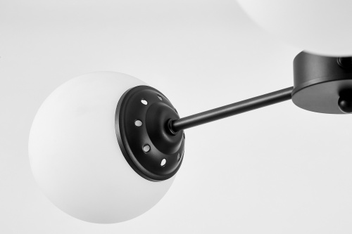 Подвесной светильник Lampit Fino TP 2003-3 BK фото 6 Подвесной светильник Lampit Fino TP 2003-3 BK фото 6