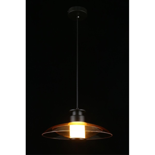 Светильник подвесной APL.648.16.10 фото 13