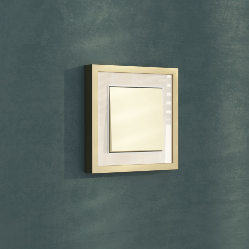 Клавиша для выключателя перекрестного (шампань) W1119011 фото 3 Клавиша для выключателя перекрестного (шампань) W1119011 фото 3