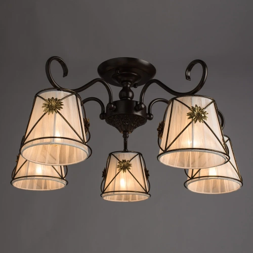 Потолочная люстра Arte Lamp FORTUNA A5495PL-5BR фото 2