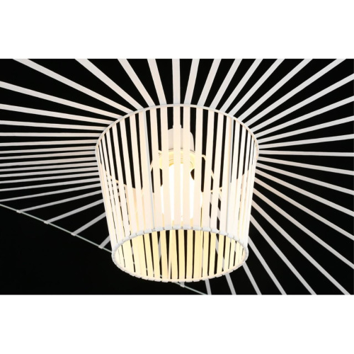 Светильник подвесной APL.656.16.01 фото 10