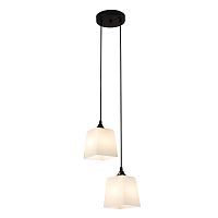 Подвесной светильник 160003/2P E27*60W Black