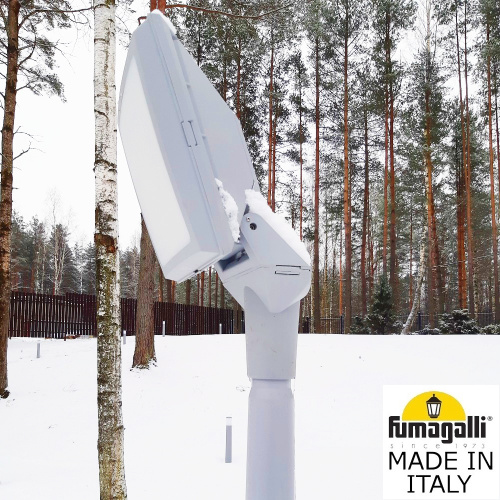 Fumagalli Парковый фонарь FUMAGALLI EKTOR 2500/GIORGIO 4P2.362.G10.LYF1R фото 10 Fumagalli Парковый фонарь FUMAGALLI EKTOR 2500/GIORGIO 4P2.362.G10.LYF1R фото 10