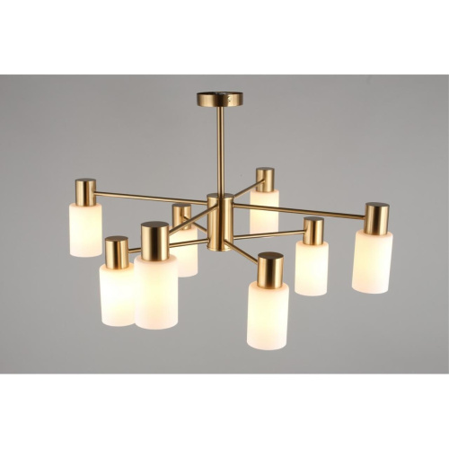 Люстра потолочная OML-69107-08 фото 5 Люстра потолочная OML-69107-08 фото 5