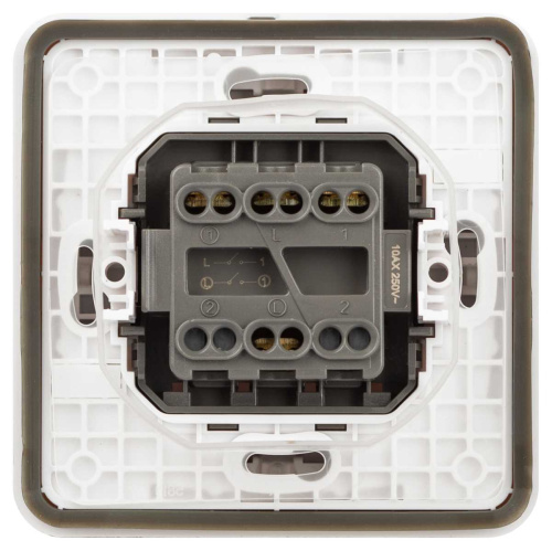 Выключатель ЭРА Эксперт 11-1524-01 двойной IP55 10АХ-250В СУ белый Б0063271 фото 5 Выключатель ЭРА Эксперт 11-1524-01 двойной IP55 10АХ-250В СУ белый Б0063271 фото 5