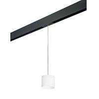 Комплект с трековым светильником Lightstar Rullo (213486+595887) PRORP3486