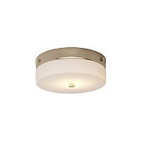 Потолочный светильник для ванных комнат Elstead Lighting TAMAR-F-M-PG