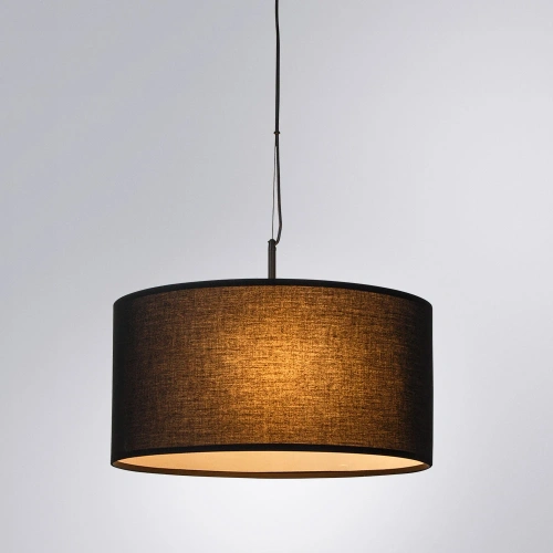 Подвесная люстра Arte Lamp COPPA A4095SP-3BK фото 2