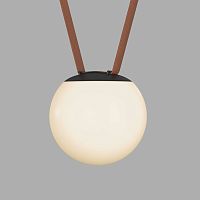Светильник на шине Denkirs BELTY ORB | БЕЛТИ ОРБ DK5551-BK