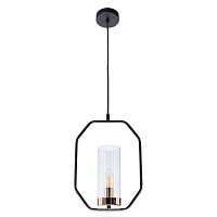 Подвесной светильник Arte Lamp Celaeno A7004SP-1BK