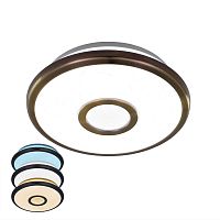 Потолочный светодиодный светильник Citilux Старлайт CL703B13